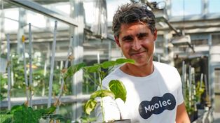 Innovación. Gastón Paladini es CEO y fundador de Moolec Science.