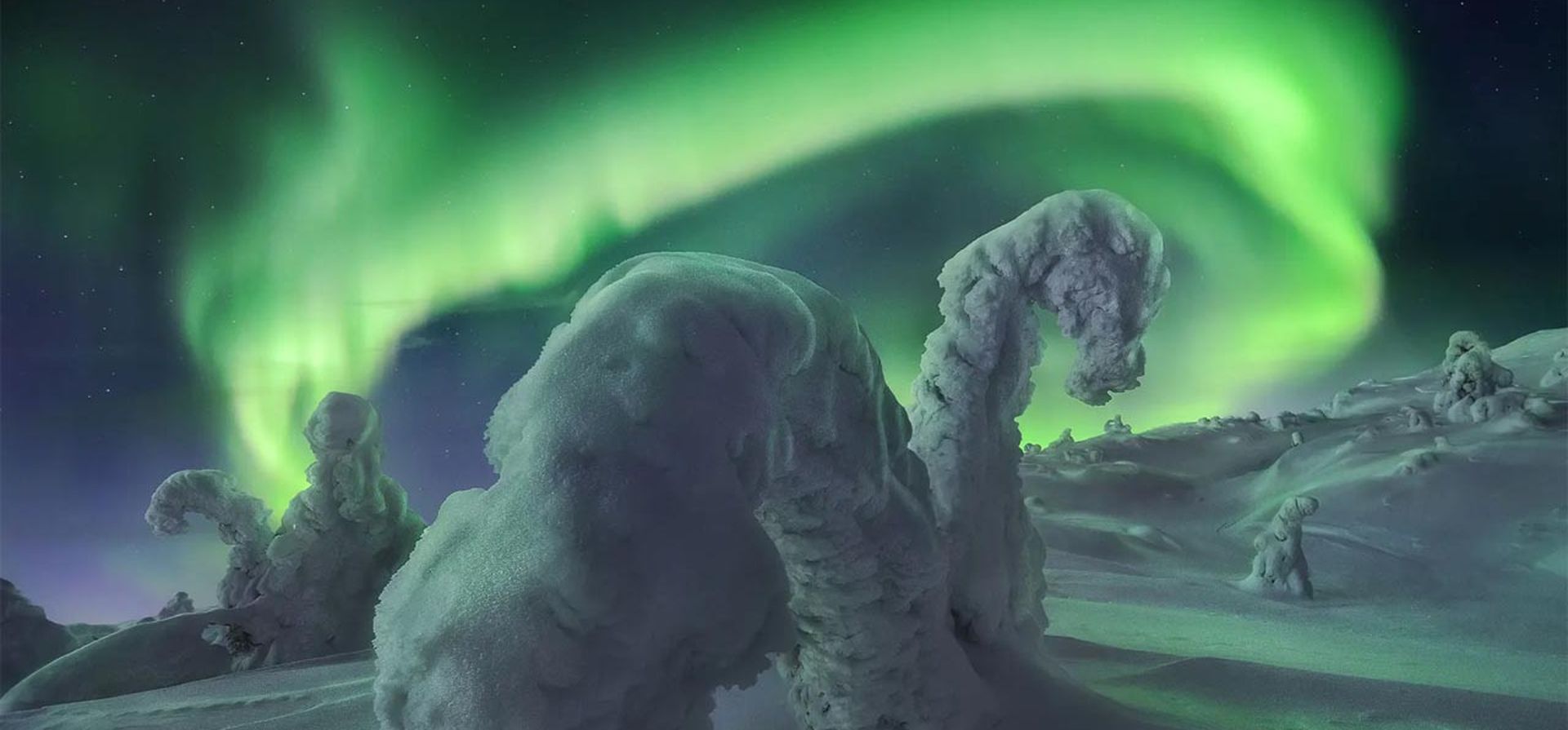 Monstruos de nieve polar - Península de Kola, Rusia. Fotografía: Sergey Korolev