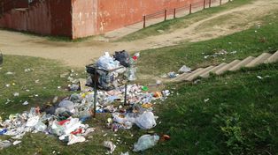 Alto Verde: hasta el martes sin clases por la presencia de roedores