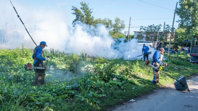 La Municipalidad lleva adelante una campaña de fumigación y desmalezado en los barrios para prevenir el dengue en Rosario. 