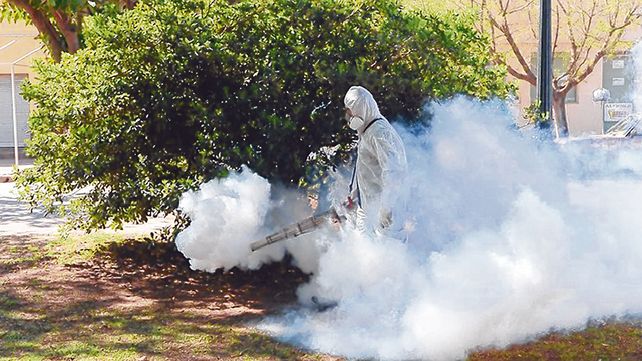 Ain parar. En la ciudad de Rafaela se desarrolla un importante despliegue para combatir al mosquito Aedes Aegypti Ain parar. En la ciudad de Rafaela se desarrolla un importante despliegue para combatir al mosquito Aedes Aegypti