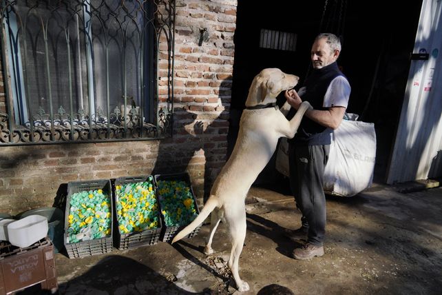 Fabricarán la primera máscara de soldar 100% rosarina a partir de tapitas de plástico recicladas