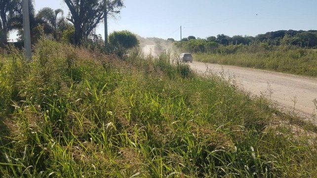 Más de 1.000 denuncias por terrenos baldíos abandonados en Paraná