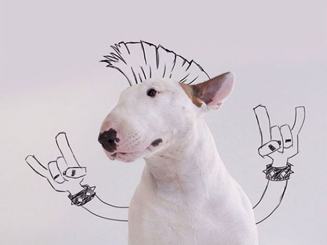 Su esposa lo dejó, pero creó un mundo con su perro