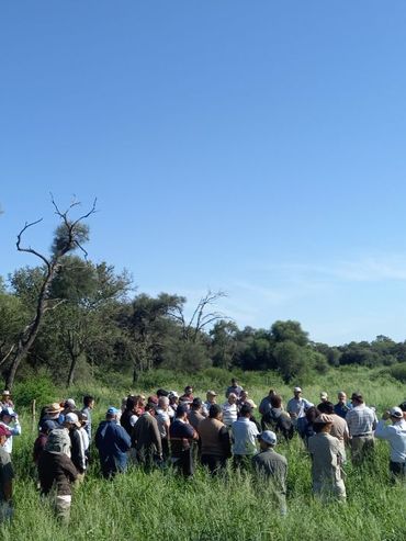 Un horizonte productivo y regenerativo en la producción agropecuaria