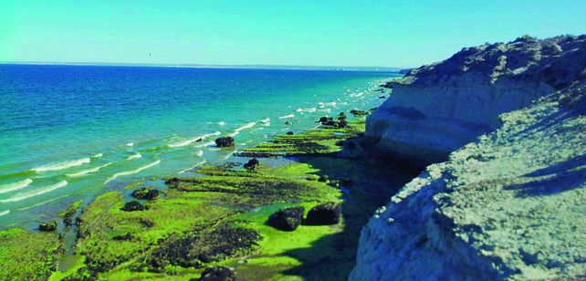 Un lugar natural y con una vista inigualable en pleno coraz&oacute;n de Puerto Madryn.