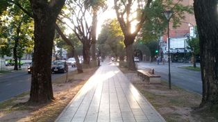 Siguen las altas temperaturas y el alivio llegaría a la tarde