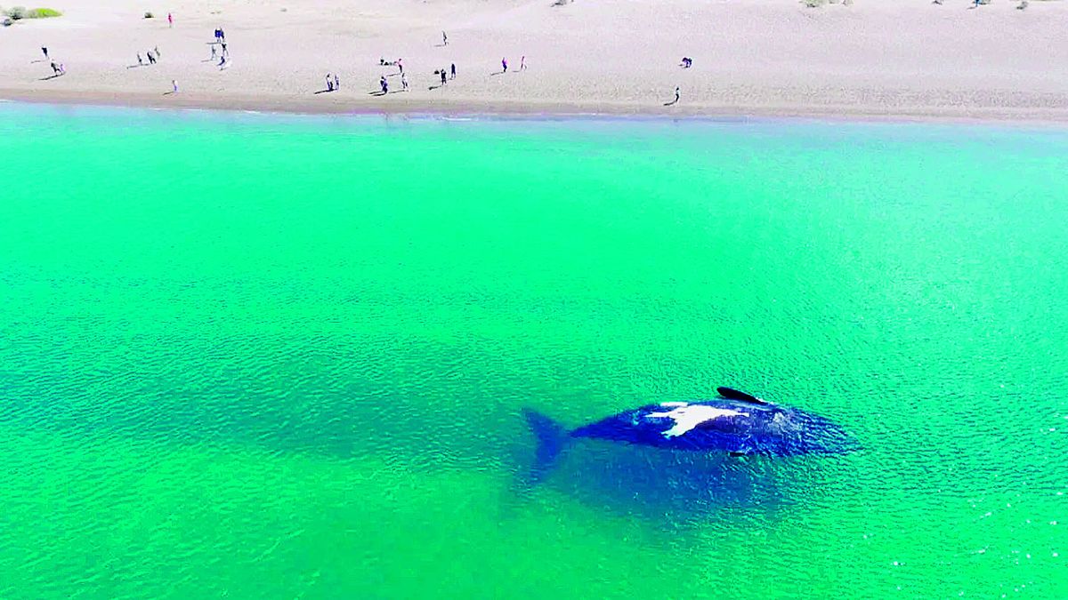 Ranking las 10 mejores playas de la Argentina