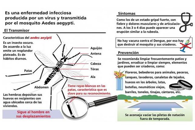 Confirmaron un caso de dengue en Rosario