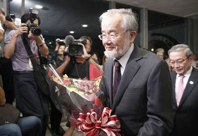 Flores para él. El profesor Ohsumi minutos después de conocer la noticia. Es una alegría insuperable