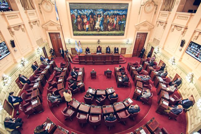 Los convencionales constituyentes dicutirán una reforma constitucional histórica donde las organizaciones sociales y ambientales esperan que el cuidado de la salud y la naturaleza tengan un lugar preponderante.