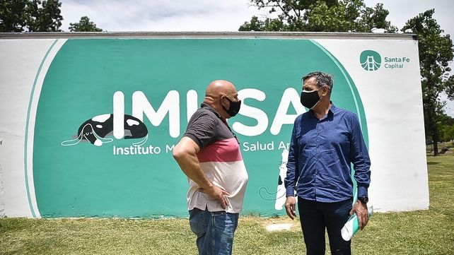 Desde enero a octubre de 2020