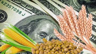 El dólar tendrá un tipo de cambio diferencial para la soja y las economías regionales