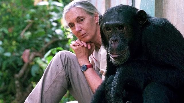 Jane Goodall