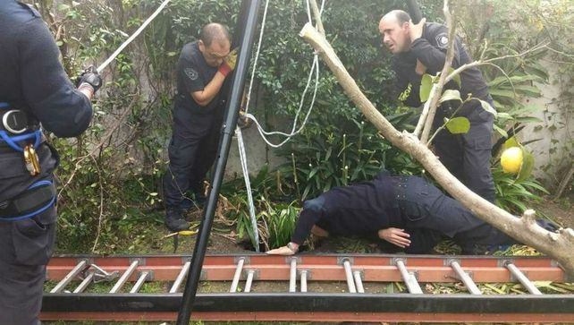 Gran labor. Los bomberos de La Plata mostraron su profesionalismo.