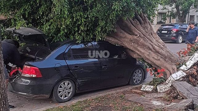 Tormenta: un árbol cayó arriba de un auto y el viento volteó una pared medianera de un edificio