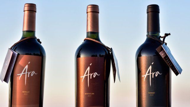 Ára. Palabra en guaraní y la marca principal de la empresa entrerriana