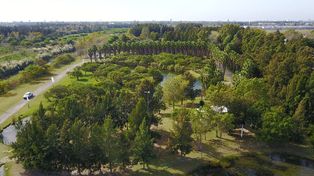 El Bosque de los Constituyentes es uno de los pulmones verdes más importantes de Rosario.