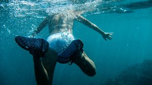 Peligro en el agua: descubren células cancerígenas en el mar