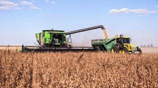Marcha atrás con la suba de retenciones: el campo y la agroindustria santafesina celebraron el anuncio de Caputo