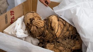Arqueólogos hallaron una momia preinca de entre 800 y 1.200 años de antigüedad.&nbsp;