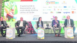 El maíz, protagonista de la era de la bioeconomía