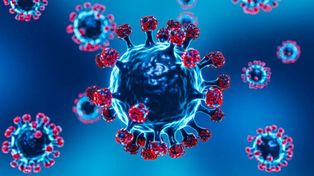 Gripe H3N2: qué es, a quiénes afecta y por qué la vacunación vuelve a ser clave