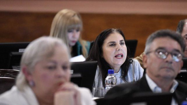 La Cámara de Diputados de Entre Ríos sancionó la ley que crea la Obra Social de Entre Ríos (OSER)