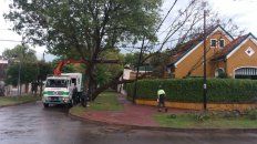 En Castagnino 390, en la zona norte de la ciudad, un ejemplar añoso se desplomó sobre el jardín de una casa, En Castagnino 390, en la zona norte de la ciudad, un ejemplar añoso se desplomó sobre el jardín de una casa,