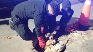 Rescataron a un perrito que se había caído en una boca de tormenta