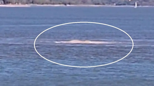 Villa Carlos Paz: el fenómeno misterioso que se registra en el lago San Roque