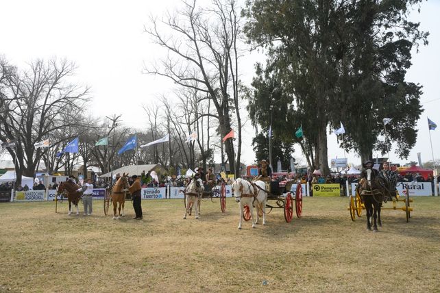 La Expo Rural Venado Tuerto 2024 fue un éxito en participación y diversidad