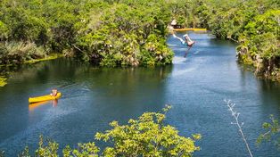 Secretos de la Riviera Maya
