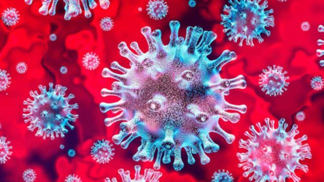 El coronavirus provocó ciento de miles de muertes en todo el mundo.