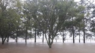 Bajo agua: en el norte santafesino cayeron más de 300 mm en 48 horas
