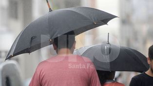 Temporal en Santa Fe: árboles caídos, anegamientos y cortes de luz tras la tormenta