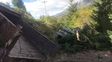 Tres turistas de Santa Fe murieron en un choque frontal cerca de San Carlos de Bariloche