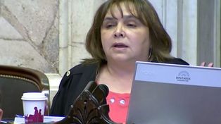 Sin filtro: una diputada llamó gato a Macri