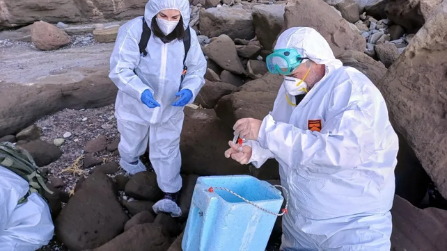 Expertos toman muestras en las costas de Río Negro. 