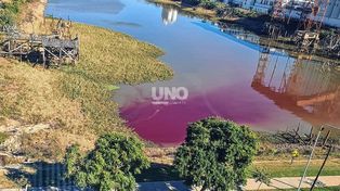 Una mancha violeta tiñó la cabecera del Dique 2 del puerto de Santa Fe.&nbsp;
