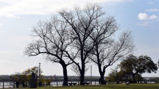 El tiempo en Rosario: sigue el calor pero aparecen nubes amenazantes