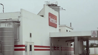 Lácteos Verónica: se agrava la crisis con las plantas paralizadas