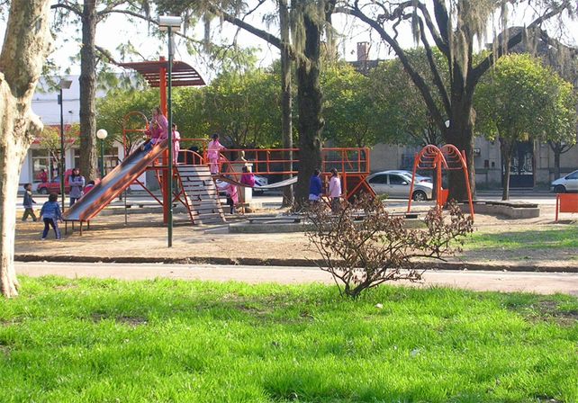 Herbicida. El uso del agroquímico fue en Plaza San Martín
