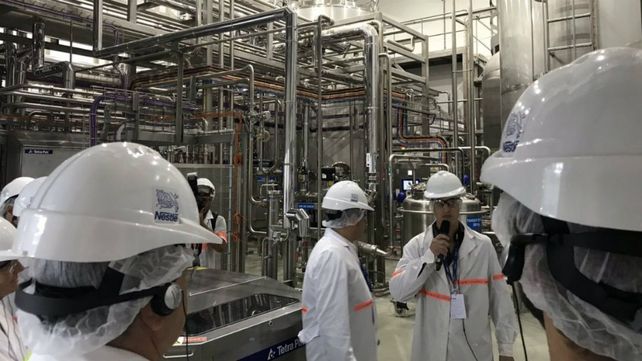 El fabricante de alimentos y bebidas Nestlé volvió a producir chocolate en la Argentina después de 20 años.