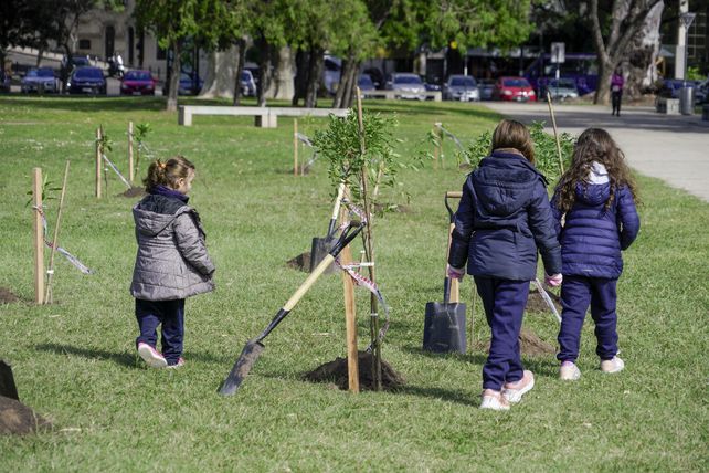 Abel Pintos plantó 50 árboles en la costa rosarina: Rosario es una ...