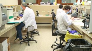 Holanda y Bélgica también registraron casos de reinfección con Covid-19