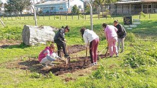 En la escuela Juan XXIII de Villa Fontana los alumnos trabajan en la huerta.