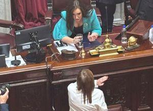 Villarruel apuntó contra Bullrich por el tratamiento de pliegos en el Senado: Nos somete a este descontrol