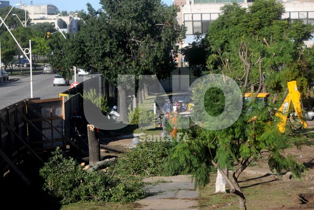 Siguen adelante los trabajos en el Parque Alberdi