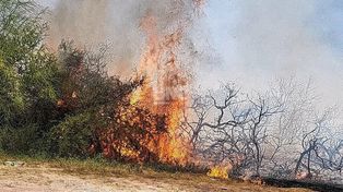 Incendios en el Acceso Norte de Santo Tomé, en cercanías del barrio privado La Tatenguita.